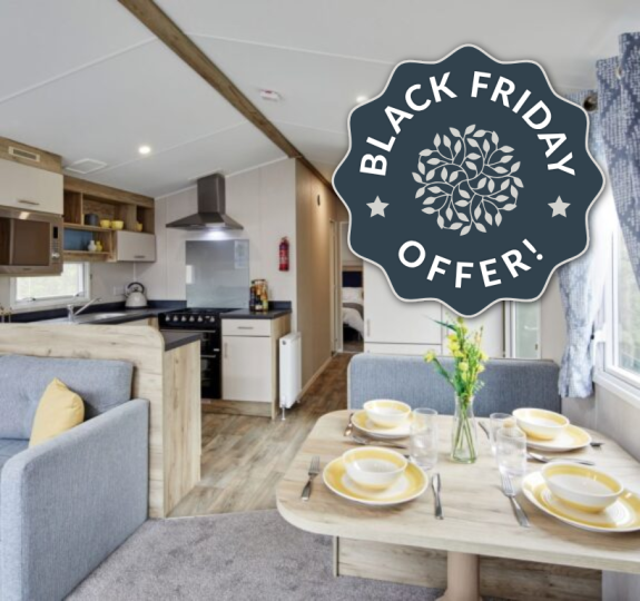 109 black friday thumbnail